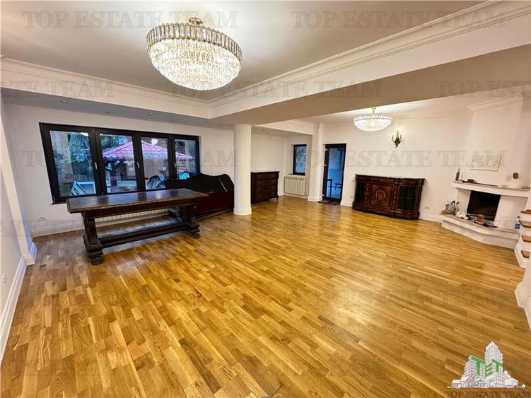 Vila pretabila rezidenta/office Iancu Nicolae - 1
