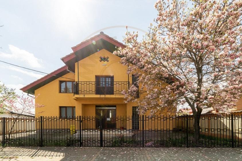 Vila - Piscina - Bradu! - 2