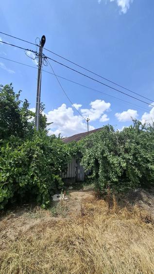 Casă cu Teren 1040 Mp în Floroaica