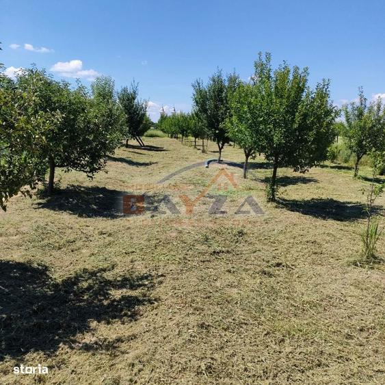 Casuta de vacanta Hideaga | teren 30 ari | liniste | acces facil - 6