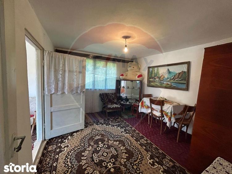 Casa bunicilor de vanzare. - 8