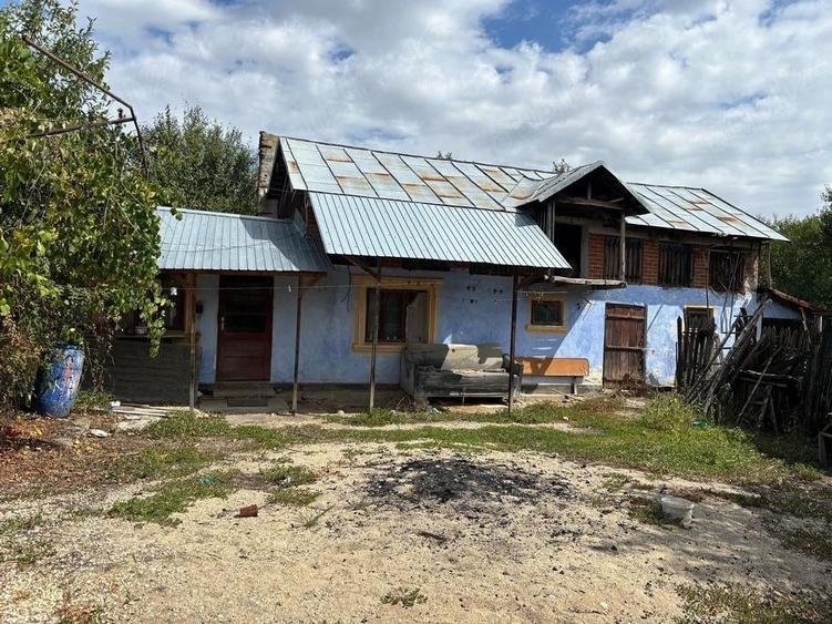 Casa de vanzare - 1