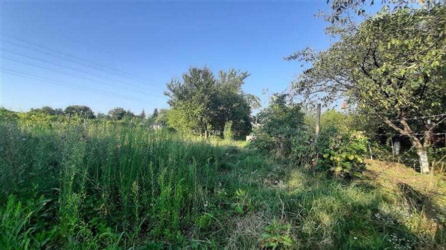 De vanzare teren 16 arii, Santana de Mures - 6