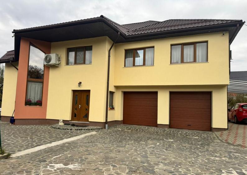 CASA DE VIS SAU AFACERE DE SUCCES BAIA SPRIE - 1