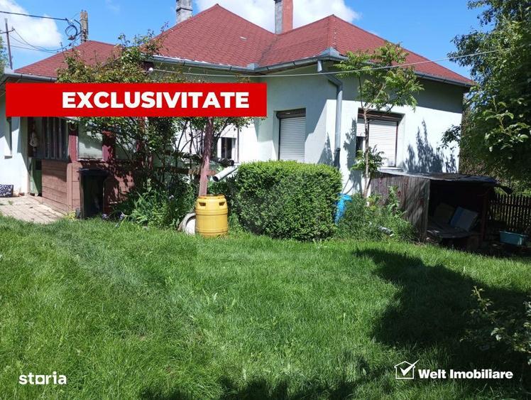 Casa cu teren 3320mp sat Dumbrava Capusu Mare - 10