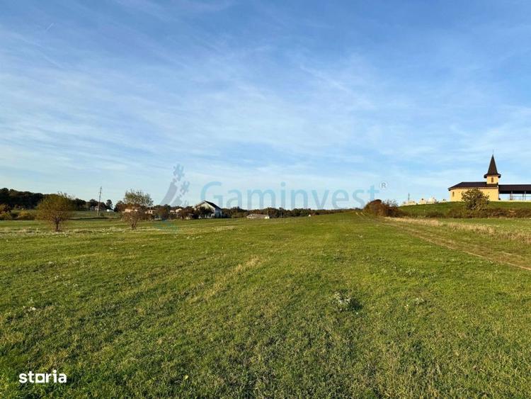 Teren de vanzare in Betfia, 5487 mp intravilan, Bihor, Gaminvest-V4571 - 7