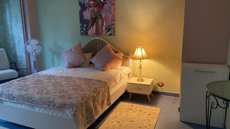 Vila individuala Victoriei pretabil birouri clinica restaurant rezidenta - 31