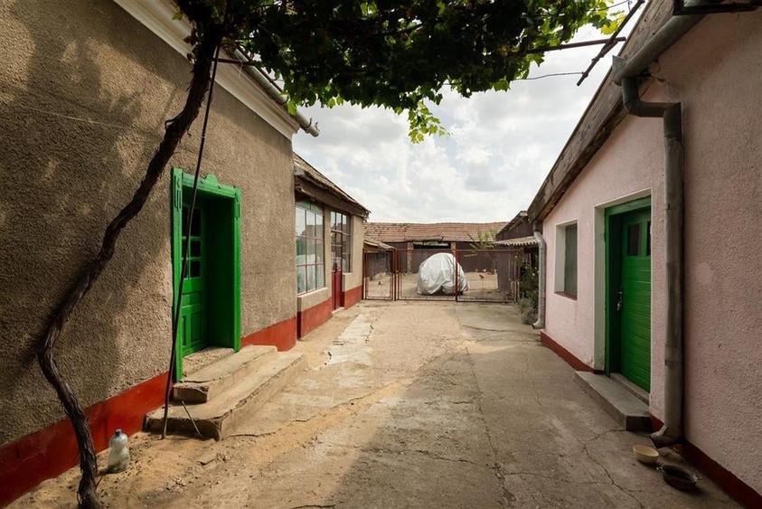 Teren mare cu 2 case si front la 2 strazi in Tamaseu - 42