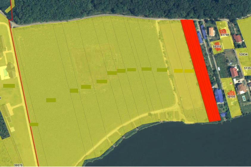 Teren de vânzare cu acces direct la lac, între pădure și apă – Moara Vlăsiei - 5