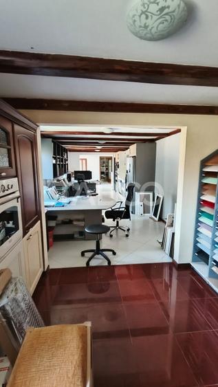 Platforma industriala cu cladiri de vanzare in Salistea de Alba - 8