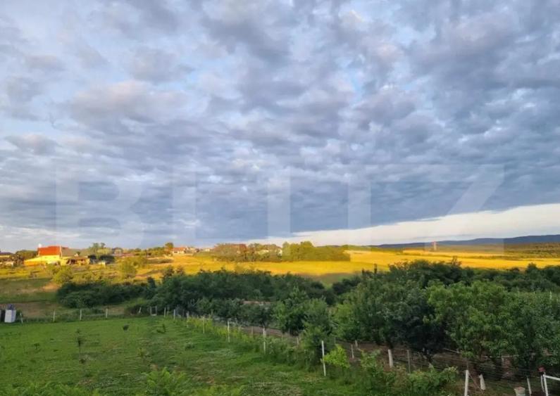 Casa/Vila de vanzare / posibil Pensiune ,cu view ?i padur - 1