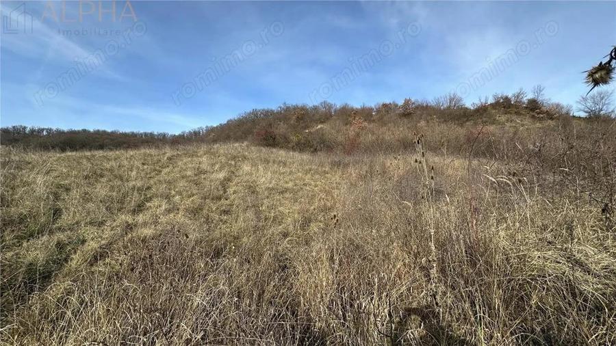 Teren Intravilan Dealu Jelnei - 15.2 ari - 6