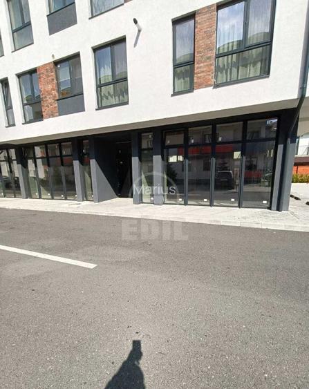 Spatiu comercial de vanzare, Terra