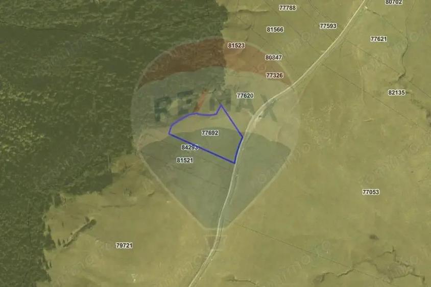 Teren intravilan Transbucegi / Oportunitate de dezvoltare Transbucegi - 7