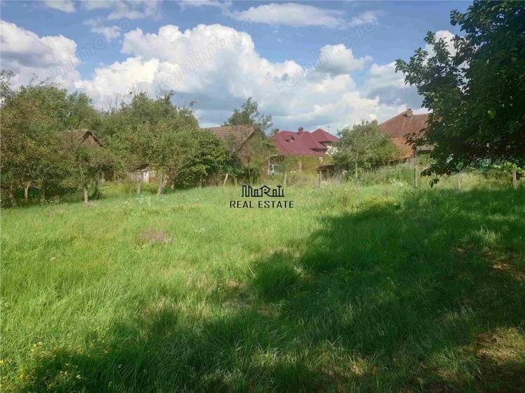 Casa P+M cu teren generos si loturi suplimentare in Baia de Cris - 8