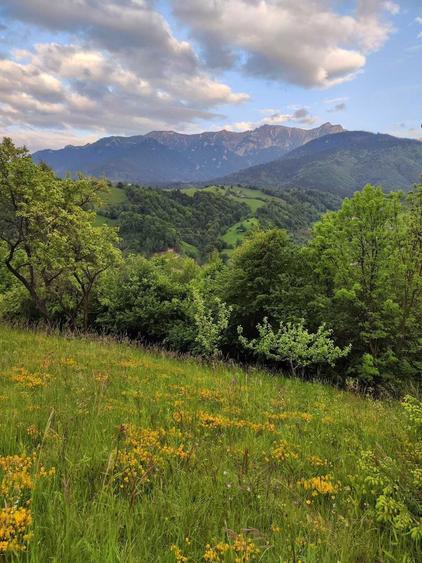 Vand teren intravilan in Bran cu priveliste asupra Muntilor Bucegi - 1