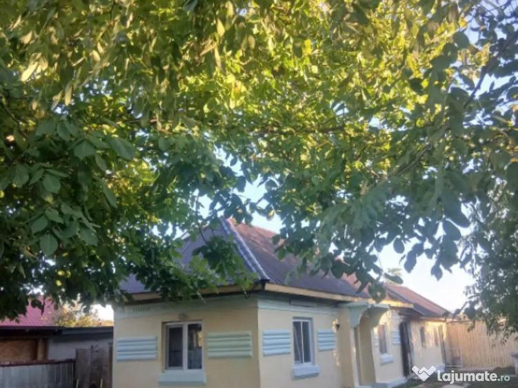 Casa de vanzare, 64.30 mp, Lacrita Mare - 18 km de Craiova - 6