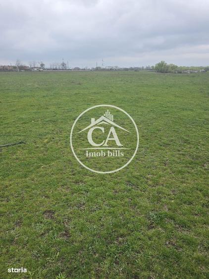 Teren extravilan 150.000 mp de vanzare in Tileagd, Bihor - 2