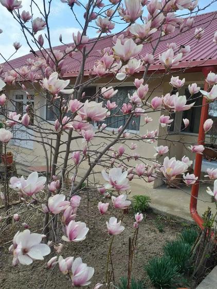 vind casa in Cordun str.principala - 3