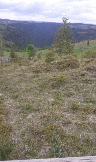 Teren de vanzare ideal pentru cabana in Maguri Racatau - 1