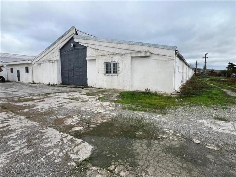 Hale de inchiriat localitatea M. Kogalniceanu Tulcea - 1