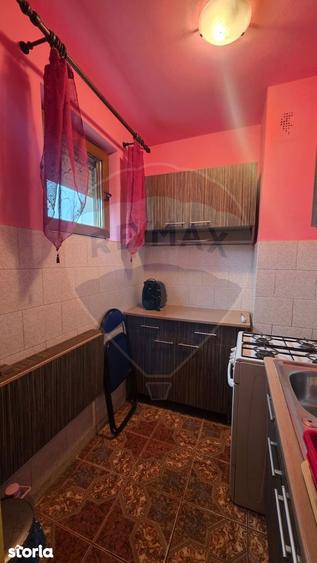 Apartament cu 3 camere de vanzare, str Tineretului - 6