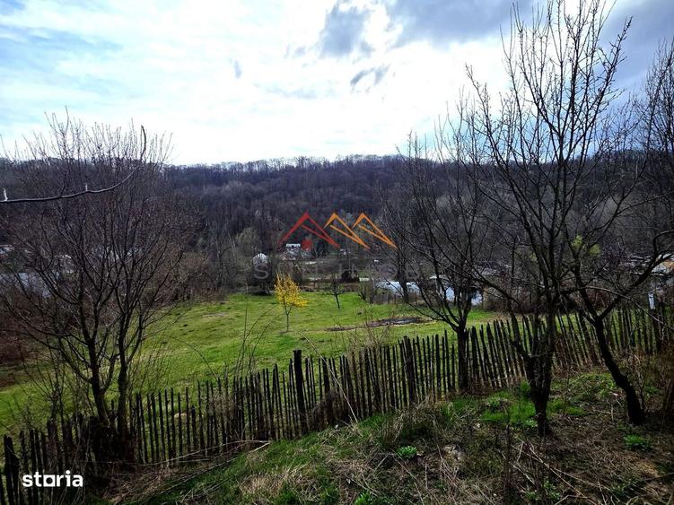 Casa batraneasca stil romanesc + 875 mp teren | Telega - 7