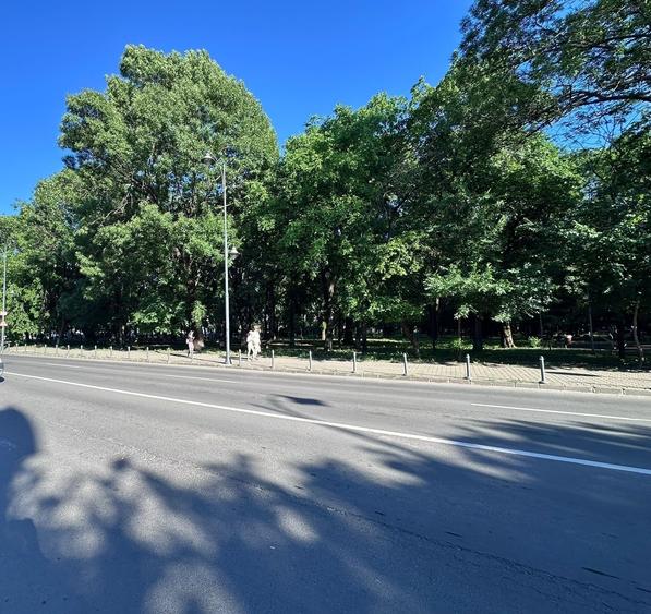 Vila interbelică în zona Aviatorilor - 4