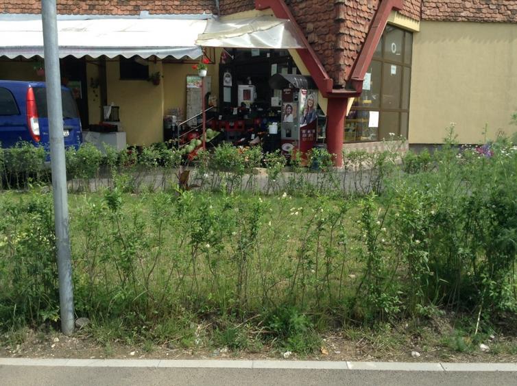 Spatiu Comercial 100 mp Triaj - 8