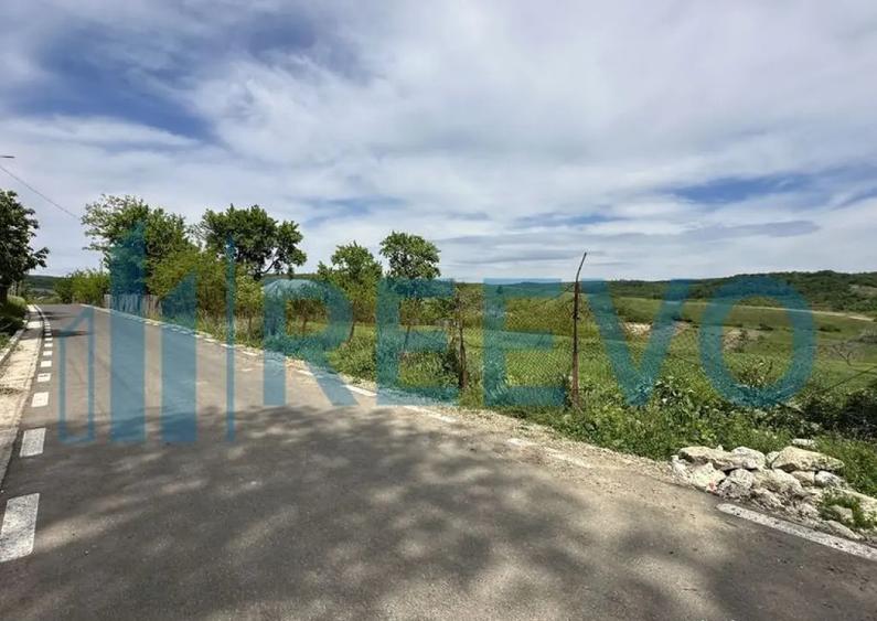 Teren de vanzare, Sat Valea Mare, Com. Ro?iori, Bacau - 7