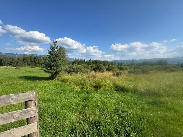 12700 mp investitie rezidentiala- turistica- medicala Tinovul Mic/Șaru Dornei - 15