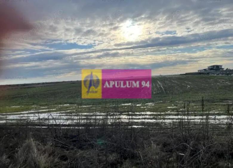 Teren Mihailesti- langa Dovinot. - 1