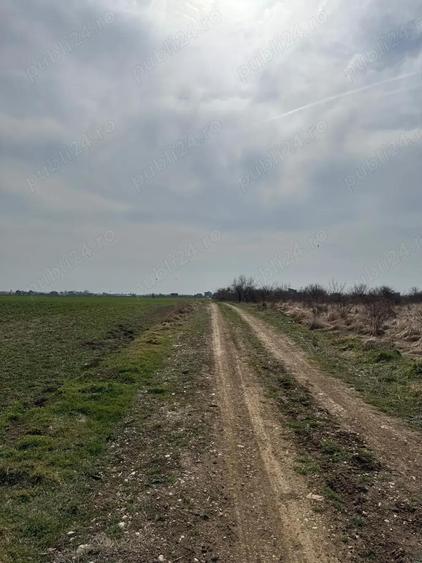 Vanzare Teren intravilan 5000mp Magurele - 1