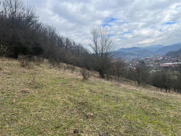 Teren intravilan si extravilan Luncoiu de Jos - 6