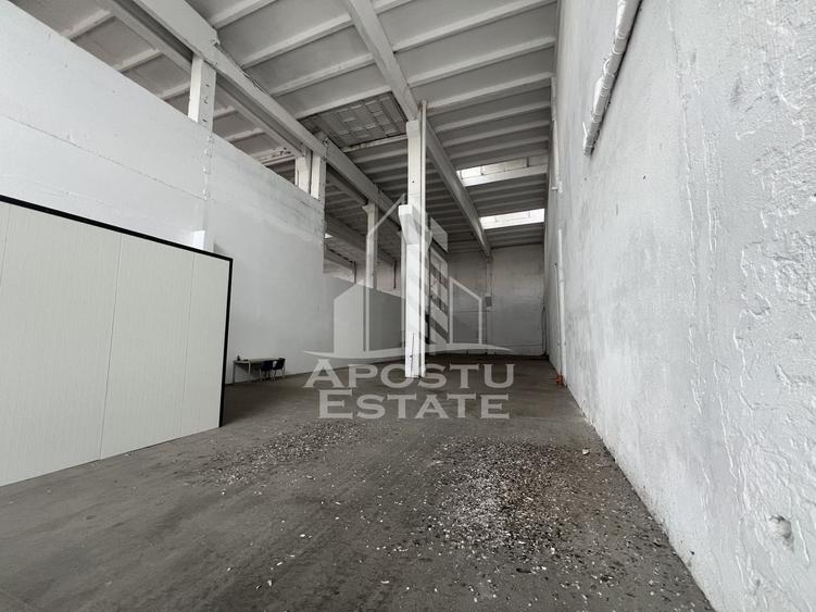 Spațiu industrial, de 448 mp, în Șagului