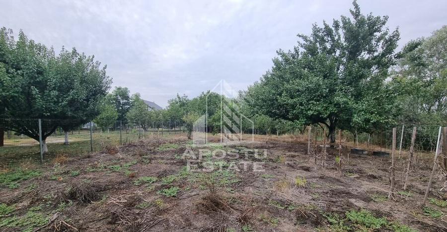 Casa individuala, curte generoasa, centrala proprie, sat ... - 12