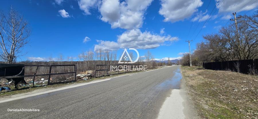 Teren de vânzare 12.771 mp – zonă industrială/comercială Bârsești - 6