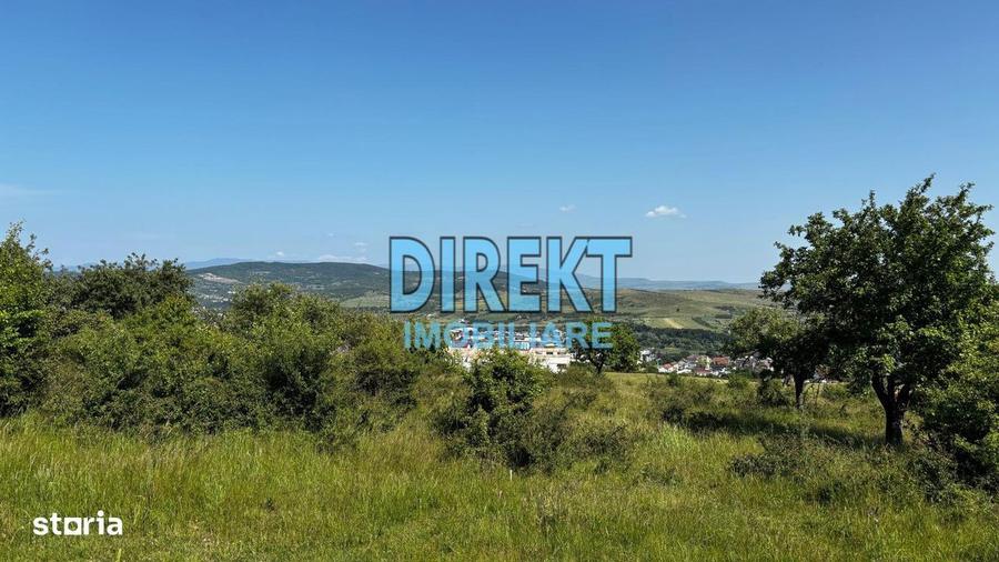 Teren intravilan strada Trifoiului - 2