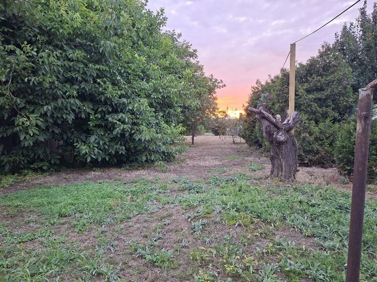 BRASADAS vinde casa individuala 2 cam teren 6 ari Titulescu. - 3