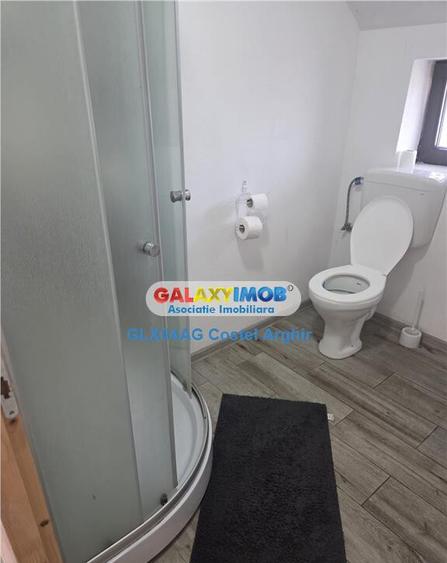 Inchiriem vila in Budeasa, mobilata si utilata - 9