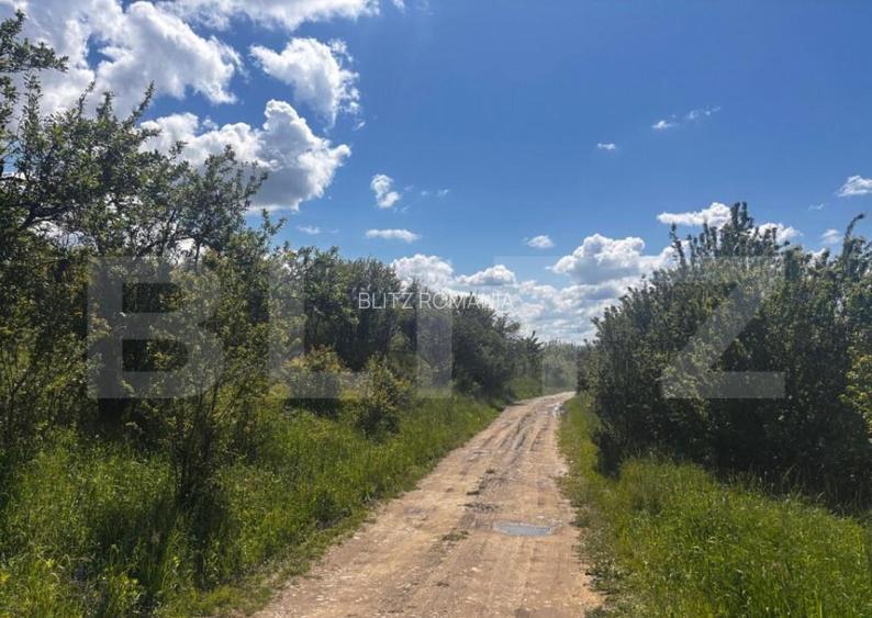 Teren extravilan de vanzare, 2500 mp, zona Valea Sigmirului