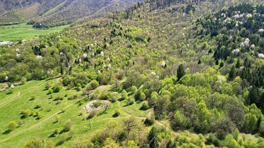 Teren Intravilan parcele 1000mp - 18