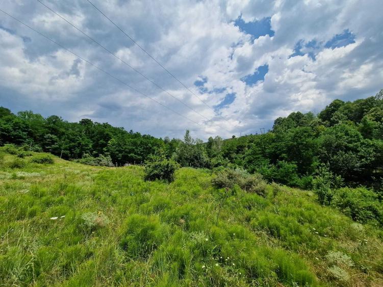 Teren intravilan in orasul Slanic Prahova - 7