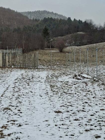 Teren intravilan in Piatra Neamt, zona Bistrita - 7