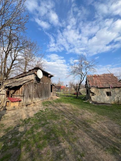 Se vinde casa la tara - 7