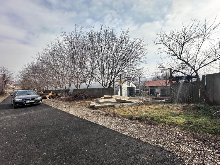 Hala/ cort ciupercarie, crestere pui, 400mp, Dumesti - 8