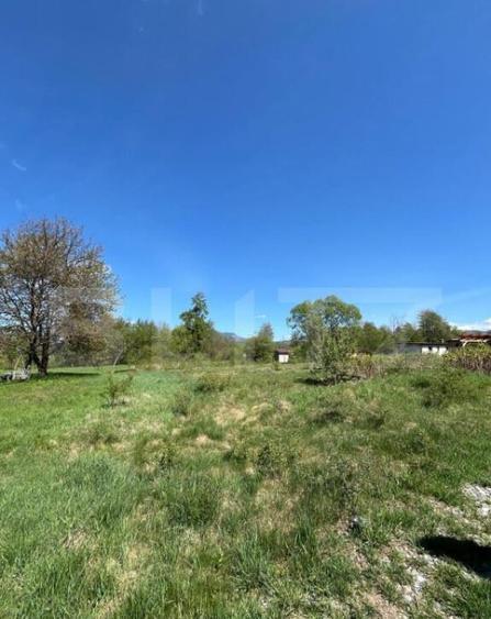 Teren de 30 ari de vanzare in Bistri?a Bargaului zo - 1