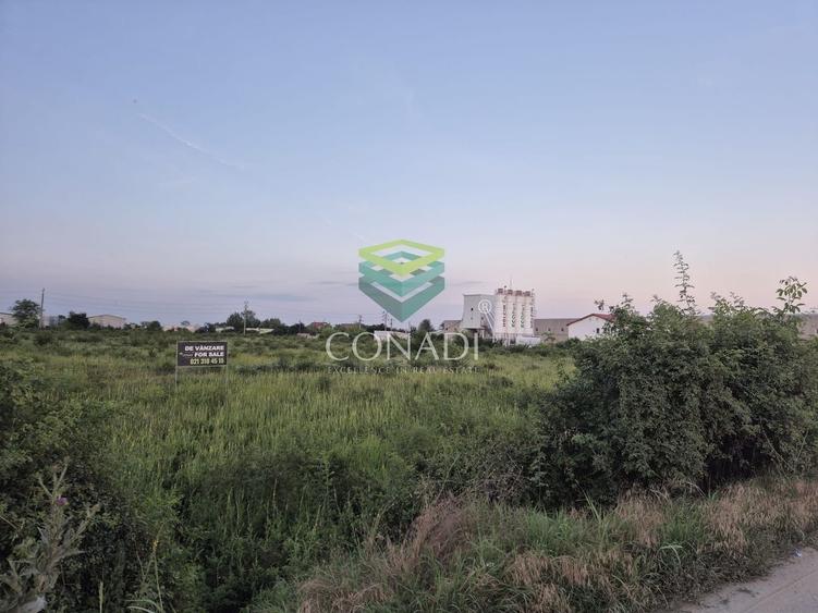 Teren  - pretabil pentru industrial - Centura -  Clinceni - 2