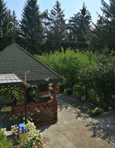 Doriți aer curat liniște vă ofer o casă frumoasă - 7