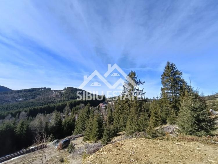 Teren de vânzare în zona montană a județului Alba - 8